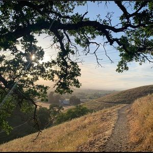 Meet your Posher, Debra